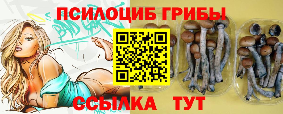 Псилоцибиновые грибы GOLDEN TEACHER Лангепас
